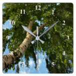 birch umbrella square wall clock