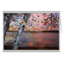 birch view greeting cards