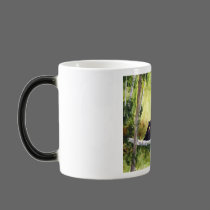 Birches and Bear Northwoods Mug mugs