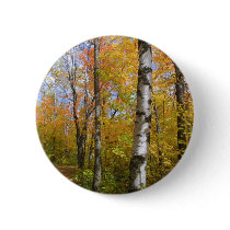 birchpath buttons by kathiscc birchpath buttons