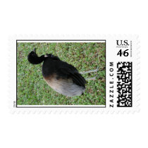 bird 3 postage by Comforttokids bird 3 postage