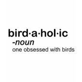 bird a hol ic Ladies Baby Doll Fitted T-Shirt