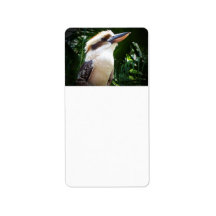 bird against green Kookaburra Labels