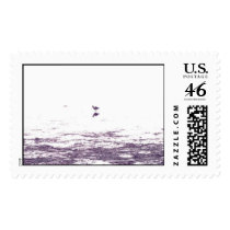 Bird Alone in Morro Bay postage