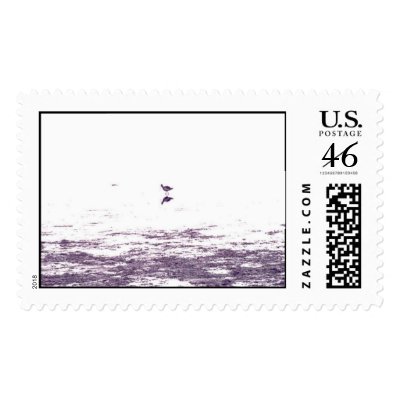 Bird Alone in Morro Bay Stamp by gidgey