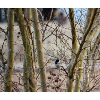 Bird Among Trees mousepad