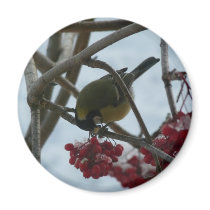 Bird and Berry magnets