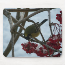 Bird and Berry mousepads