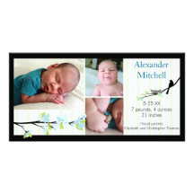Bird and Blossoms in Blues Birth Announcement Personalized Photo Card