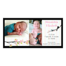Bird and Blossoms in Pink Photo Birth Announcement Personalized Photo Card