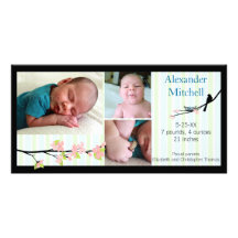 Bird and Blossoms Photo Birth Announcement Picture Card