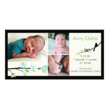 Bird and Blue Blossoms Photo Birth Announcement Photo Cards