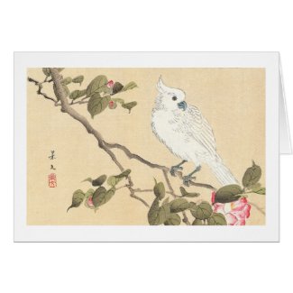 Bird and Flower Album, Cockatoo and Camellia Greeting Card