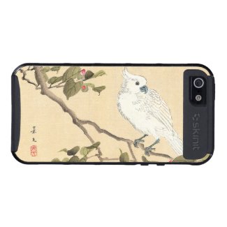Bird and Flower Album, Cockatoo and Camellia iPhone 5 Cases