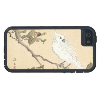 Bird and Flower Album, Cockatoo and Camellia iPhone 5 Case