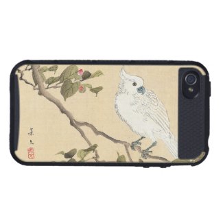 Bird and Flower Album, Cockatoo and Camellia iPhone 4/4S Cover