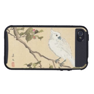 Bird and Flower Album, Cockatoo and Camellia iPhone 4/4S Cover