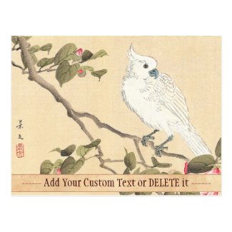 Bird and Flower Album, Cockatoo and Camellia Post Card