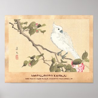 Bird and Flower Album, Cockatoo and Camellia Posters