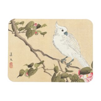 Bird and Flower Album, Cockatoo and Camellia Vinyl Magnets