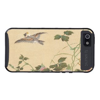 Bird and Flower Album, Japanese Tit and Arrowroot iPhone 5 Covers
