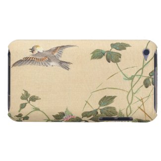 Bird and Flower Album, Japanese Tit and Arrowroot Barely There iPod Cover