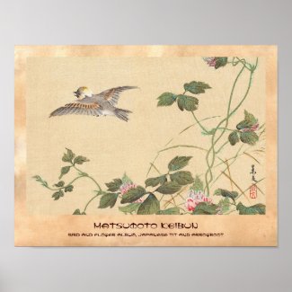 Bird and Flower Album, Japanese Tit and Arrowroot Poster