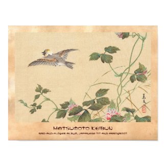 Bird and Flower Album, Japanese Tit and Arrowroot Poster