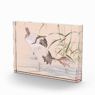 Bird and Flower Album, Wading Cranes vintage art Acrylic Award