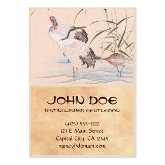 Bird and Flower Album, Wading Cranes vintage art Business Cards