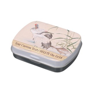 Bird and Flower Album, Wading Cranes vintage art Jelly Belly Tin
