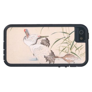 Bird and Flower Album, Wading Cranes vintage art iPhone 5 Cover