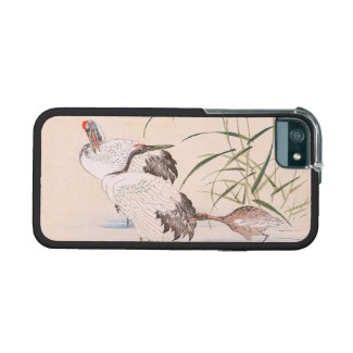 Bird and Flower Album, Wading Cranes vintage art iPhone 5/5S Cases
