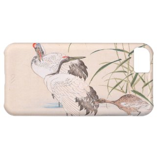 Bird and Flower Album, Wading Cranes vintage art iPhone 5C Cases