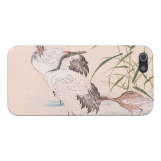 Bird and Flower Album, Wading Cranes vintage art iPhone 5 Case