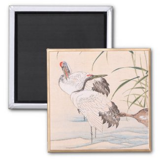 Bird and Flower Album, Wading Cranes vintage art Fridge Magnet