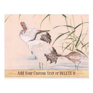 Bird and Flower Album, Wading Cranes vintage art Postcards
