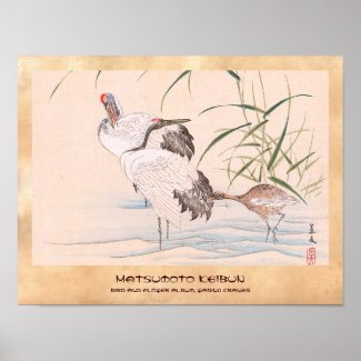 Bird and Flower Album, Wading Cranes vintage art Print