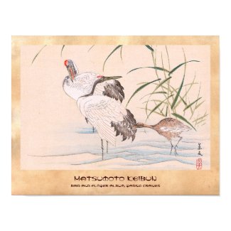 Bird and Flower Album, Wading Cranes vintage art Print