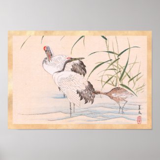 Bird and Flower Album, Wading Cranes vintage art Print