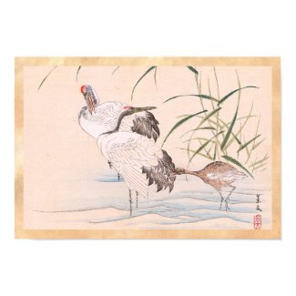 Bird and Flower Album, Wading Cranes vintage art Print