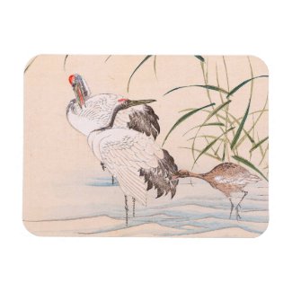 Bird and Flower Album, Wading Cranes vintage art Rectangular Magnet