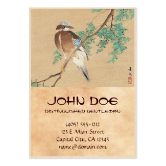 Bird and Flower, Eurasian Jay and Chinese Arborvit Business Card Templates