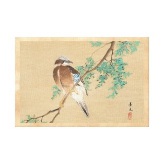 Bird and Flower, Eurasian Jay and Chinese Arborvit Gallery Wrap Canvas