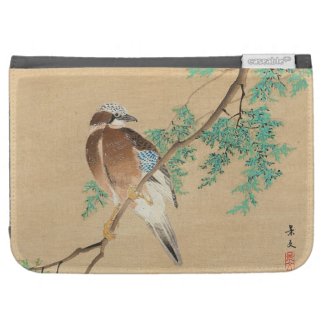 Bird and Flower, Eurasian Jay and Chinese Arborvit Kindle 3G Case