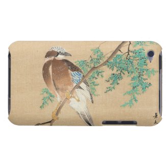 Bird and Flower, Eurasian Jay and Chinese Arborvit iPod Case-Mate Cases