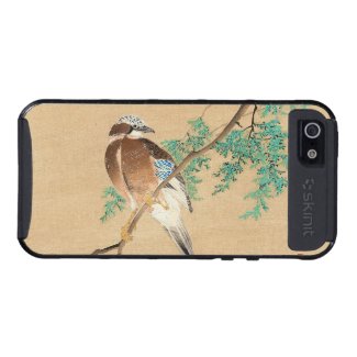 Bird and Flower, Eurasian Jay and Chinese Arborvit Cases For iPhone 5
