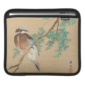 Bird and Flower, Eurasian Jay and Chinese Arborvit Sleeve For iPads