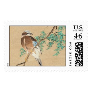 Bird and Flower, Eurasian Jay and Chinese Arborvit Stamps