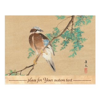 Bird and Flower, Eurasian Jay and Chinese Arborvit Postcard